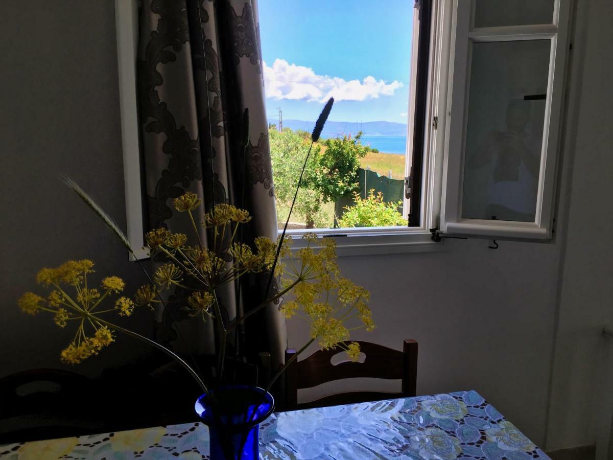 Anthoula'S Sea View Apartment Piso Livadi Exterior foto
